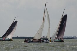 Finale wedstrijd IFKS Skûtsje zeilen bij de Lemmer druk bezocht