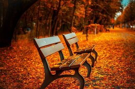 Voor meteorologen is de herfst begonnen