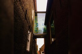 Museum Dokkum organiseert cursus kunstgeschiedenis