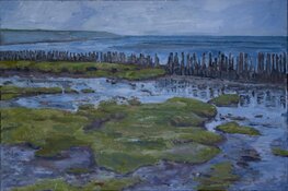 Museum &#39;t Fiskershúske in Moddergat blijft langer open