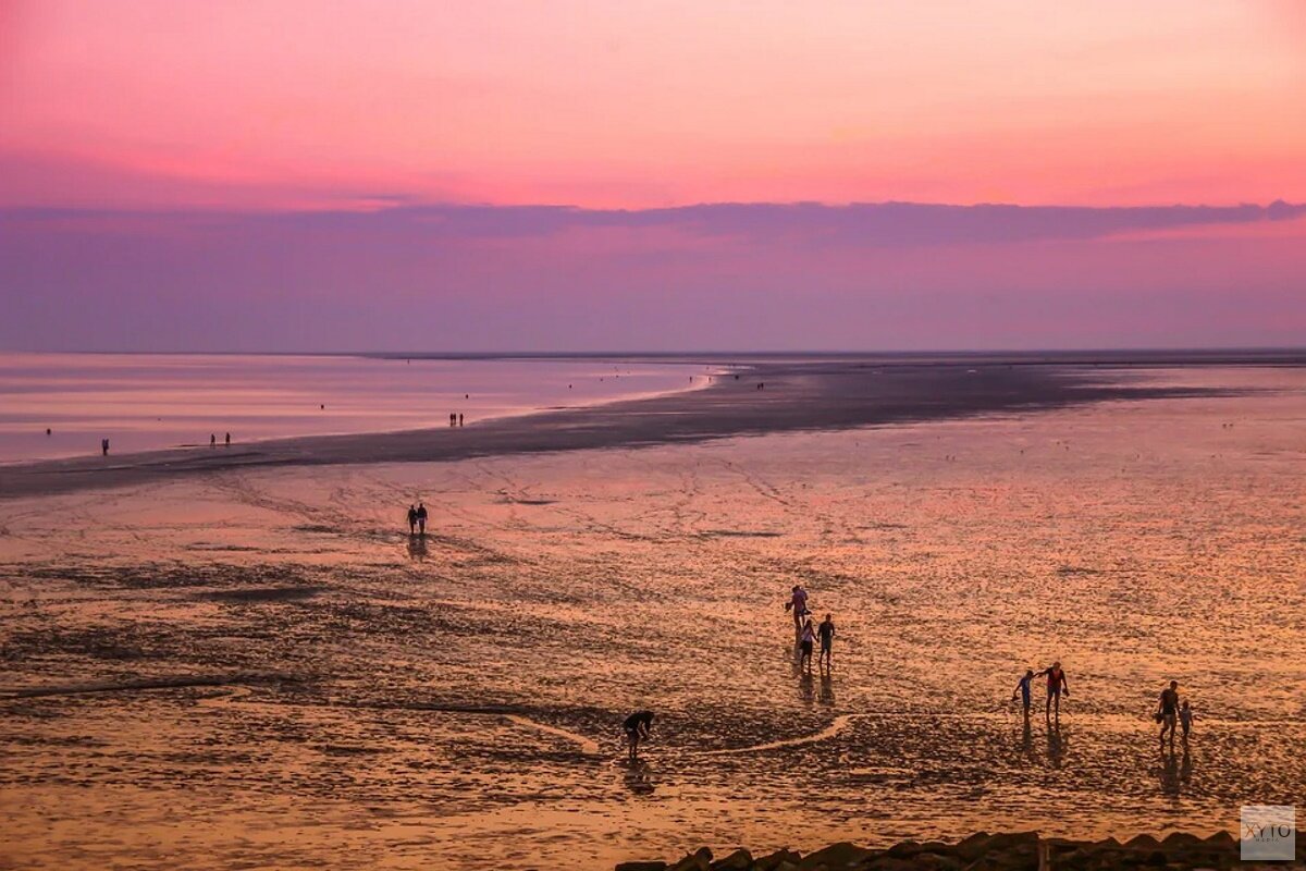 Nacht van het Wad officieel van start op langste nacht van het jaar Nacht van het Wad officieel van start op langste nacht van het jaar