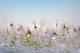 Temperatuur gaat even omhoog, maar later in de week weer kou met winterse neerslag