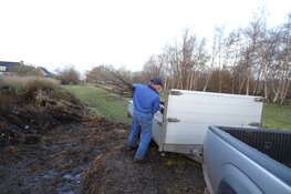 Bomenbezorgdienst Plan Boom gaat Fryslân vergroenen