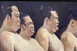 Zoom in op De Foudgumse School