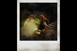 Fotograaf Peter Sauermann exposeert met zijn serie ’Instant.app’ in Museum Dokkum