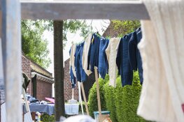 Drie gezellige zomermarkten op het terrein van de garnalenfabriek van Moddergat