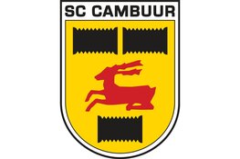 Trainer Henk de Jong stopt per direct bij SC Cambuur