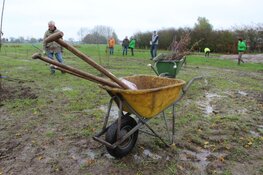 Landschapsbeheer Friesland en FMF zetten in op 92.000 bomen met Beammen foar Elkenien