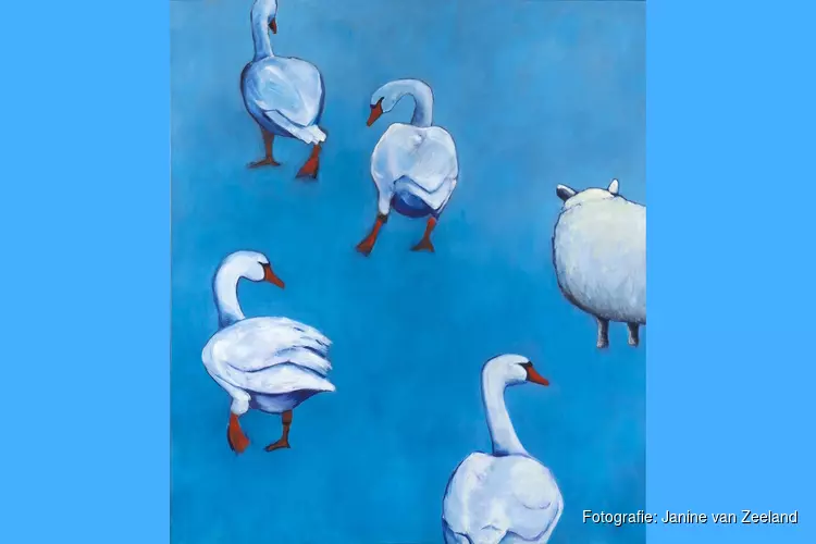 Nieuwe expositie van Janine van Zeeland en Eppie Dam in Museum Dokkum