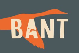 Seedykstermerk Moddergat De gezelligste zomermarkt van het jaar op het terrein van museum ‘t Fiskershúske