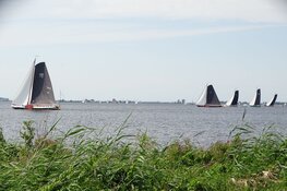 Skûtsje van Grou wint op Heegermeer bij Woudsend