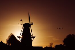 Workshop fotografie van Marit Anker in Museum Dokkum