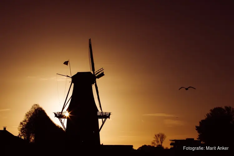 Workshop fotografie van Marit Anker in Museum Dokkum
