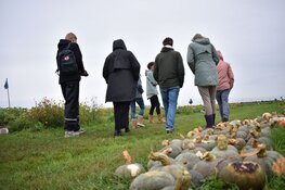 Samen Sterker: Boer&Buur met Natuur zet natuurinclusieve landbouw in beweging