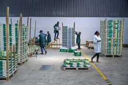 Food for Thought: Het Scheepvaartmuseum opent tentoonstelling over de verborgen wereld achter ons voedsel