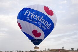 Friesland Post: vlaggendrager van de Fryske identiteit