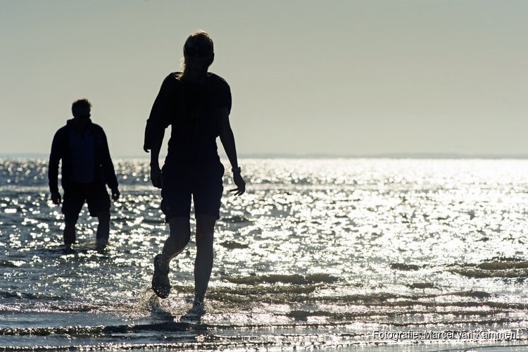 Wadlopen en Droogvallen in Friesland