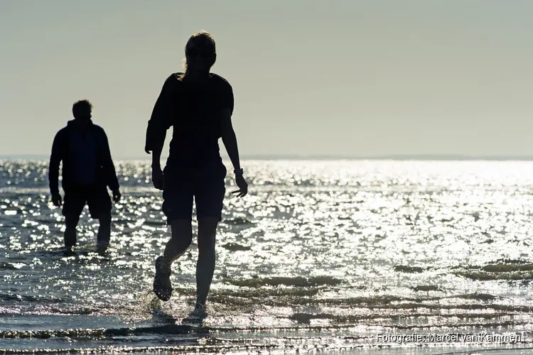 Wadlopen en Droogvallen in Friesland