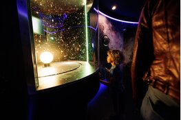 Licht uit, musea open: Museumnacht FRL onthult programma