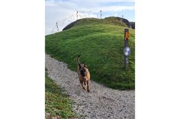 Honden speuren in het Kazemattenmuseum