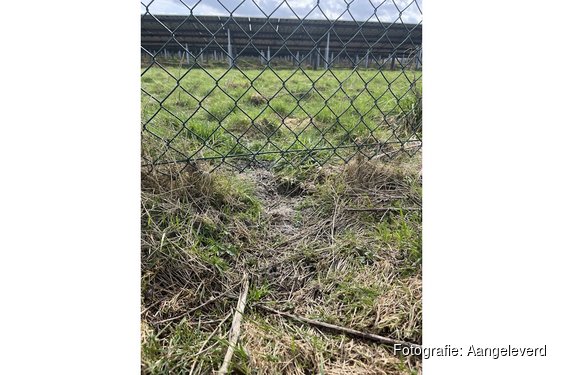 Onderzoek FMF: natuurambities bij zonneparken blijven nog te vaak steken tussen plan en praktijk